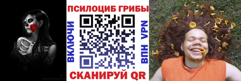 Купить закладки  Сургут  Галлюциногенные грибы GOLDEN TEACHER 