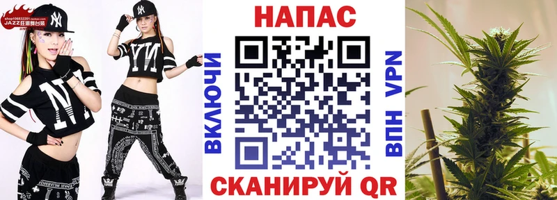 Бошки Шишки конопля  Купить закладки  Сургут 